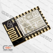 ESP8266